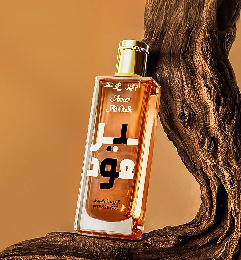 Lattafa/EDP, Eau de Parfum,Middle East fragrance Arabian Rabe perfume men,oud fragrance,Oriental Woody fragrance,50ml,100ml
